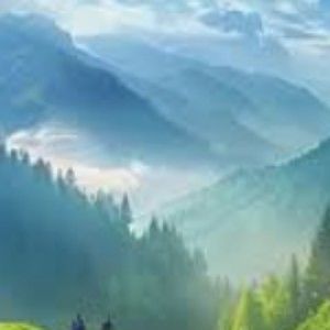 Meet your Posher, Raul simon